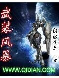武装风暴